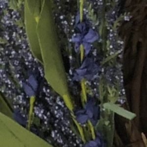 Meet your Posher, Jen